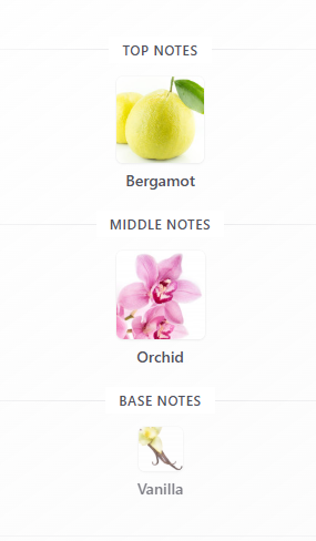 دکانت ادکلن وارداتی مشابه رایحه orchid زارا